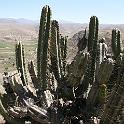 Peru 0622